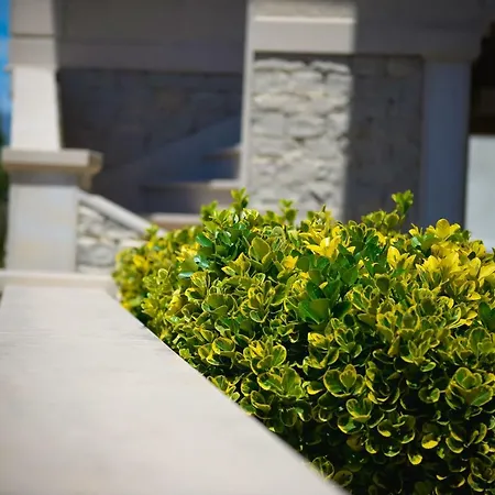 Markioli 波维尔亚